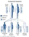 Canavan Disease; Canavan-van Bogaert-Bertrand Disease ...