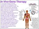 Gene Therapy