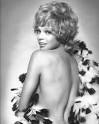 Loose Leaf Tigers: all the king's women #6 - juliet prowse