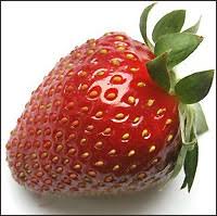 images?qtbnANd9GcRs88XTa glKvECPWFYzsE1mirRwVykMP9D scDzgPRZobpVijR - Çilek (Fragaria) images?qtbnANd9GcRs88XTa glKvECPWFYzsE1mirRwVykMP9D scDzgPRZobpVijR