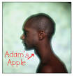 What's an Adam's Apple?