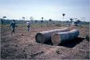 Report: World Bank Still Not Lending With Environment (and ... 