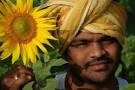 Many people in India celebrate