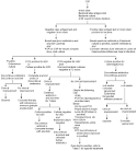 <b>Aseptic Meningitis</b> in the