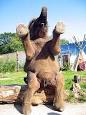 elefant pronunciation