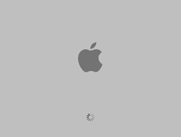 Mac Grey Screen of Death