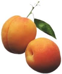 http://t2.gstatic.com/images?q=tbn:ANd9GcRtSdLlLXel5beIe33r2Fbp-EqcAr6mw0I_oc5UlluZ-9Qa0OW7