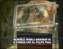 pamla anderon sex tape