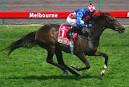 Melbourne Cup 2009: Which Horse Will Win?