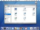 File:TigerDesk.png