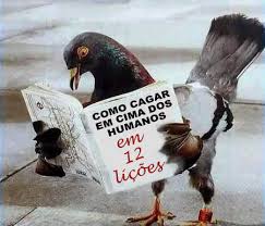 http://t2.gstatic.com/images?q=tbn:ANd9GcRuJnuKt_E0wiXGrtTIkbEL8L1JxpgUx-cdH9VRhJ9TbSHqcpMR