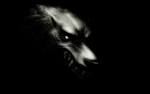 Darkwolf
