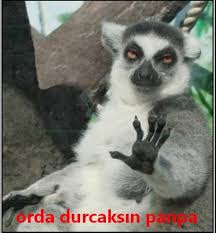 Resim