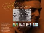 AUBREY KURLANSKY - PORTFOLIO FOR VIEW FINDER PROJECT - view_finder