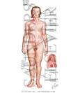 of <b>Hyperandrogenism</b>
