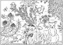 Australia coloring page