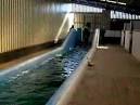 HORSE RESCUED AFTER SWIMMING 2 MILES INTO OCEAN - Worldnews.