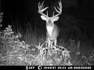 moultrie i40 infrared digital game camera
