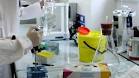 <b>Linfoma</b> a <b>cellule miste</b>