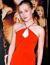 Rachel Miner Picture 2