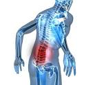 lower-<b>back</b>-<b>injuries</b>