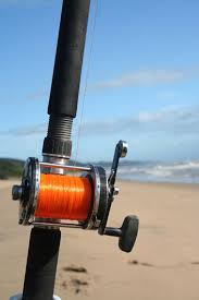 fishing rods