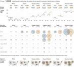 Social Explorer » Trends