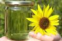 Biodiesel: How It's Made, Environmental Impact, Where to Find a ...