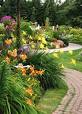 butterfly-garden3.jpg