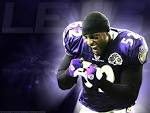 RAY LEWIS wallpaper wallpaper