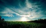 Widescreen HD Wallpapers