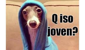 images?q=tbn:ANd9GcRvsQMpbqYILjlnZsPrq43o7v_n-3lZ5MXQ8hw31n6l7NQ4ItkPDw