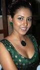 SOUTH INDIAN ACTRESSES: February 2011
