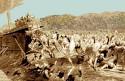 Battle of Marathon