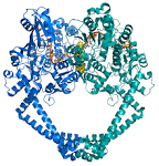 File:GSK 299423 with Staphylococcus aureus DNA gyrase PDB 2XCS.png ...
