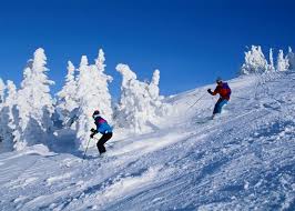 Austria, Oostenrijk, vakantie, boeken, gezinsvakantie, familievakantie, vakantie met het gezin, gezin, familie, kinderen, vakantiewoning, vakantiehuis, pension, hotel, reizen, B&amp;B, Bed&amp;Breakfast, Salzburg, ski, ski&euml;n, skivakantie, snowboard, langlauf, sport, tirol, toersime, accommodatie, onderkomen, overnachten, webcam, wellness, gezond, rust, natuur, ontspannen, genieten, weer, wenen, kamer, sneeuwbericht, sneeuwhoogte, theme, thermen, spa, skigebieden, wandelen, fietsen, mountainbiken, zwemmen, golf, apr&egrave;s-ski, kunst, cultuur, musea, steden, bezienswaardigheden, design, modern, architectuur, bergen, sneeuw, winter, zomer, wintersport, zomervakantie, wintersportvakantie, wandeltochten, wandelroutes, wandeltocht, wandelroute, fietstocht, wandelvakantie, fietsvakantie, fietsroute, fietsroutes, Oostenrijks Toeristenburo