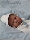 Sandy Faber kits. Daxton Riley SANDY_FABER_Daxton_Riley_Sandy_Faber - 41547568