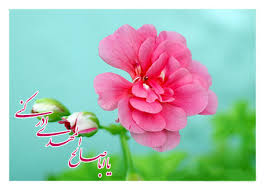 http://t2.gstatic.com/images?q=tbn:ANd9GcRxeZpD-U9xMuwOFFYKoZzYZ9rXdivFMwLcIrkk3greqwrPacNCyA