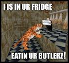 internet meme