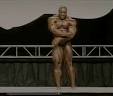 albert einstein als bodybuilder