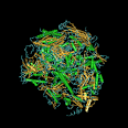 <b>RNA polymerase</b> II