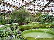 Greenhouse - Wikipedia, the free encyclopedia