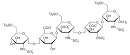 saccharide units for