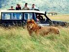 African Safari booking | Hotel &amp; Flight Booking