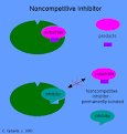 Drugs - Enzyme Inhibition