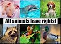 Think before you act - The International Organisation for Animal ...