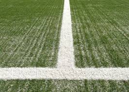 Image result for outdoor lines on grass