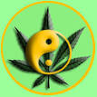 The Cannabis Assembly, Free guidance and support for the legal ...