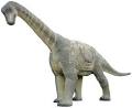 Full size Camarasaurus dinosaur – the ultimate home security - The ...