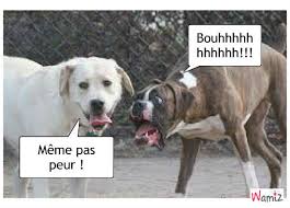 http://t2.gstatic.com/images?q=tbn:ANd9GcRzBfjLZITXKotMK4xk_zdsWmC-PQKnT7C-eIjxGlWMGoofmaWAFNLfJ5zY